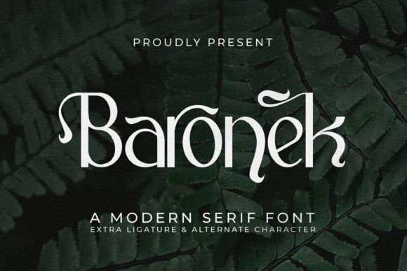 Baronek: A Modern Sans Serif Font for Handmade Creations