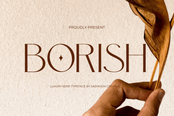 Borish Serif Font for Timeless Branding