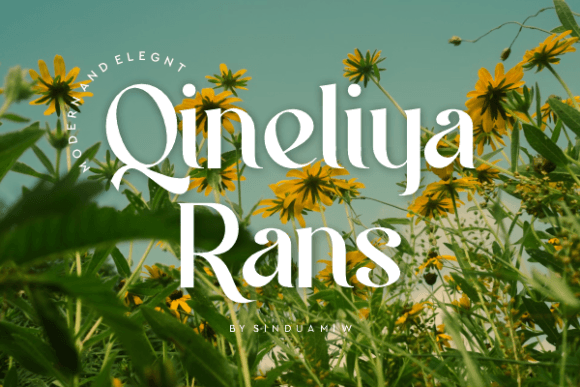 Qineliya Rans: Elevating Campaigns with a Stylish Serif Typeface